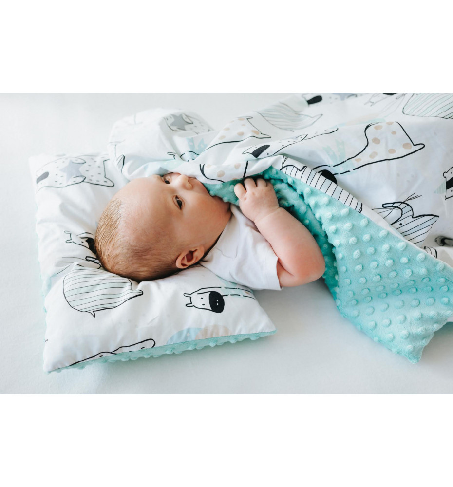 Minky fleece blanket sale