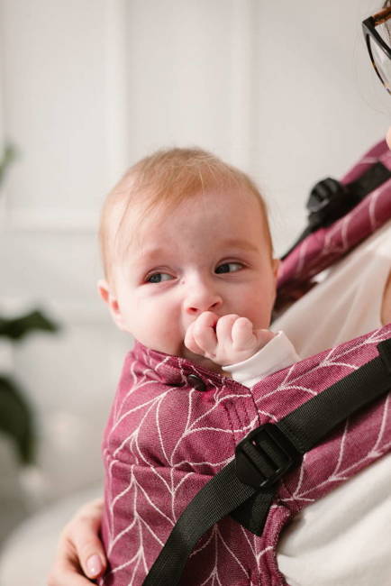 Baby carrier Kavka Multi-Age Magnetic: Cranberries Braid