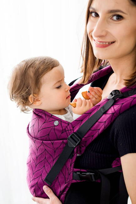 Baby carrier Kavka Multi-age: Aubergine Braid 2024