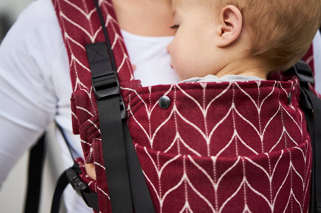 Baby carrier Kavka Multi-age: Burgundy Braid