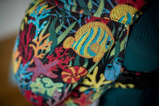 Nosidełko regulowane Qusy - Fafa Rafa