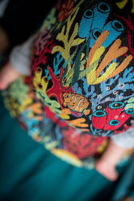 Nosidełko regulowane Qusy - Fafa Rafa