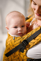 Baby carrier Kavka Multi-age: Honey Braid 2024